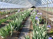 �΋�����߉��̎ʐ^1