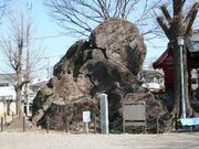 ��_�̔�΂̎ʐ^1