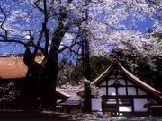 �_�􎛂̍��̎ʐ^1