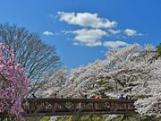 ���J��̍��̎ʐ^1