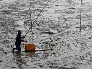 �ނ����̎ʐ^2