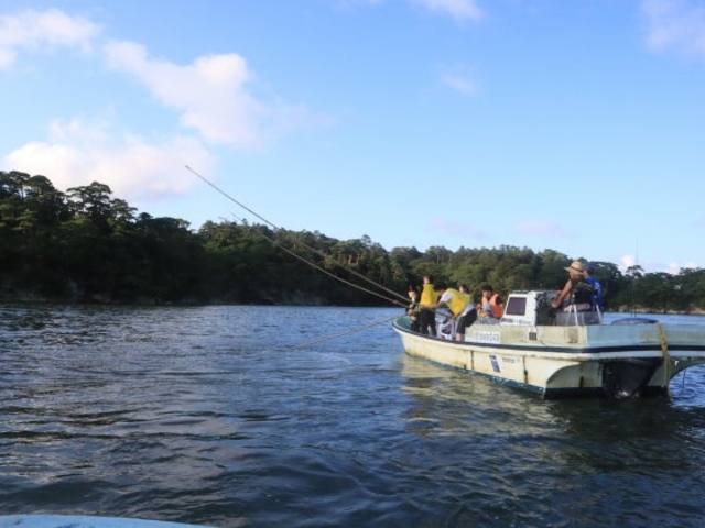 �̌����i�ǂ����݋��E�h���ԋ��j