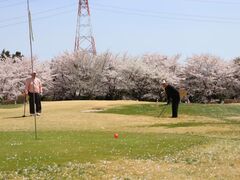 �ӂꂠ���̐X�����p�[�N�S���t��̎ʐ^1