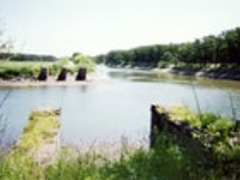 ��f�z�`���������Ղ̎ʐ^1