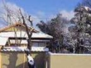 �r��S�|���̎ʐ^1