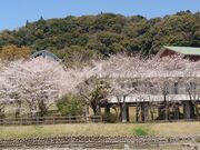 �A�W�A�E�����m�_�����C�Z���^�[�̎ʐ^2