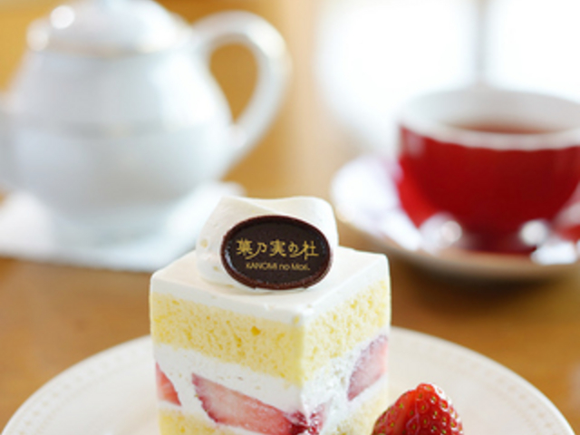 �L���P�C kinkei�̎ʐ^1