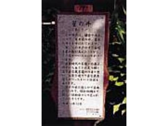 ���q�\��̂ЂƂƂ��ē`���R�����킩��_������̈�