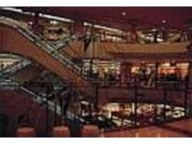 �ٓ������̓A�|���̐�Ƃ����傫�Ȑ�������_�{���V�e�B