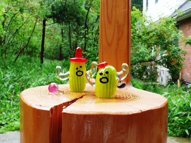 ���ڂĂ񂭂񁕂��ڂĂ񂿂��_�O���X�X�^�W�I�@�|���e