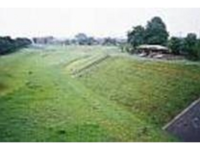 �L��ȎŐ��̏�Ŏv��������V�񂶂Ⴈ���I_����͐e������