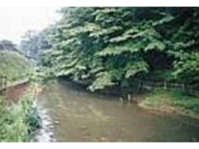 �e�]�[�����ӂł͍�����쒹������������_����͐e������