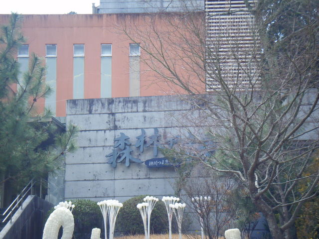 �|��ܗ�����u�X�т̓��v�i�ܗ����]�[�g�ʂ̋����j