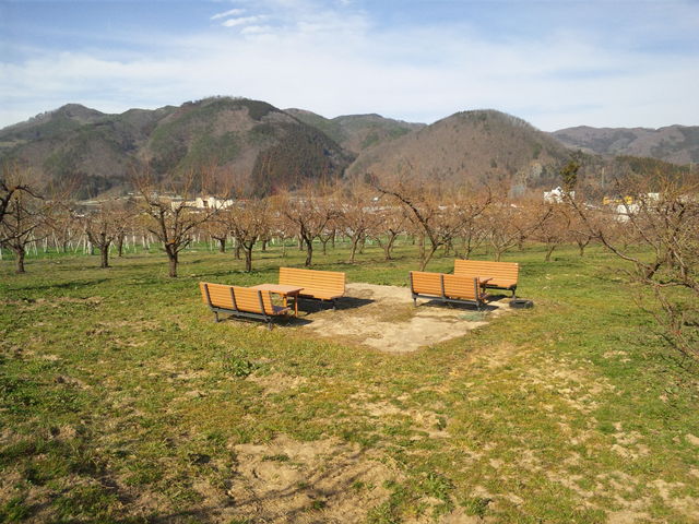 �э≷��Ԃ����̗�