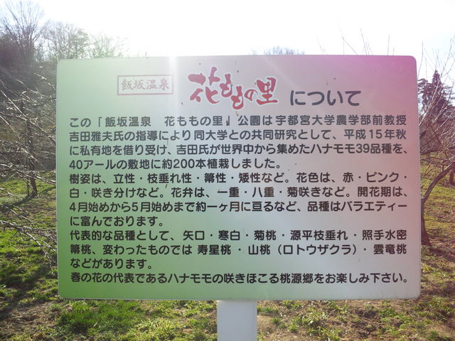 �э≷��Ԃ����̗�