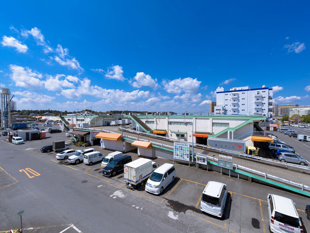 ���c���Â̓m�s��