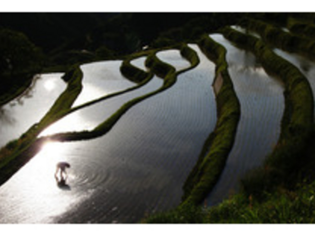 ���璬�E�嚸�a���̒I�c