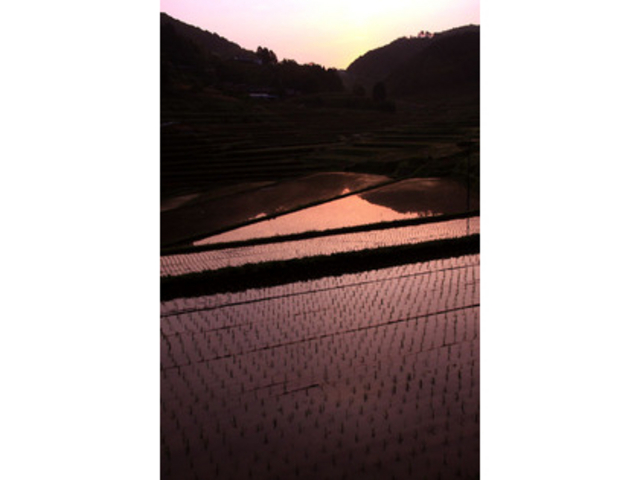 ���璬�E�嚸�a���̒I�c