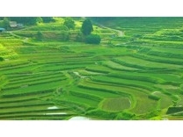 ���璬�E�嚸�a���̒I�c