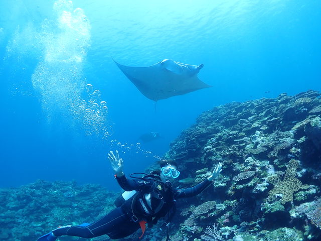 �}���^�ƈꏏ��_�_�C�u�n�E�X�}���^�Ί_��