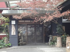 嬉野温泉　日本三大美肌の湯　旅館吉田屋-RYOKAN YOSHIDAYA-の写真1