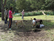 ������y���@�h�b�O�����̎ʐ^2