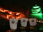 zK΃GA܂Ȃόēlc̎ʐ^2