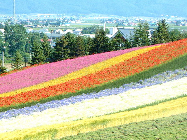 �x�ǖ���\���郉�x���_�[��������t�@�[���x�c�ł��B_�k�C���ό��l�@���c�^�N�V�[