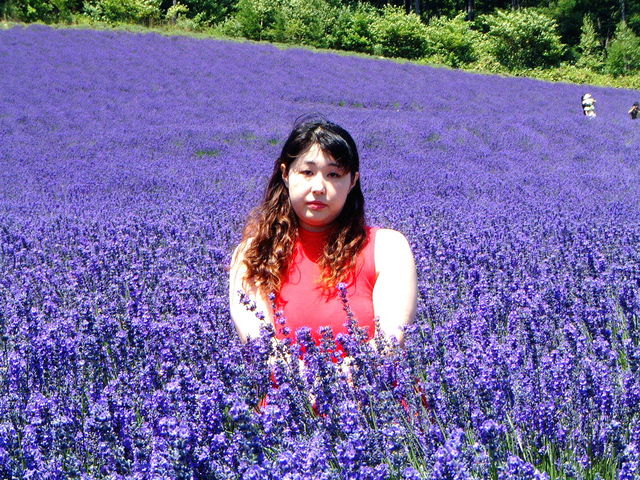 �x�ǖ샏�C���̃��x���_�[���ł��B�����ł̓��x���_�[���̒��ɓ����Ďʐ^���B�鎖���o���܂��B_�k�C���ό��l�@���c�^�N�V�[