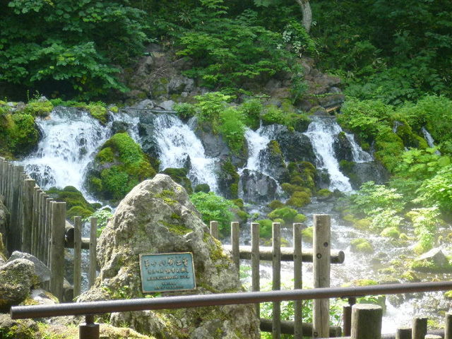 ���ɂӂ����������ł��B���{���S�I��1�ł��B_�k�C���ό��l�@���c�^�N�V�[