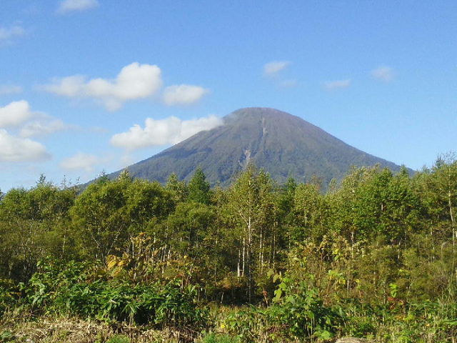 �ڈΕx�m�ƌĂ΂�Ă���r���R�ł��B_�k�C���ό��l�@���c�^�N�V�[