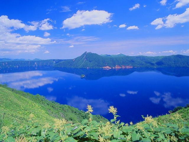 ���̖����΂ł��B���Ȃ��͖��̖��������΂�������������܂����H_�k�C���ό��l�@���c�^�N�V�[