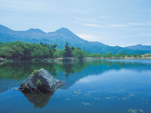 �m���T�΂ł��B�F�̏o���ɂ��K��������܂��B_�k�C���ό��l�@���c�^�N�V�[