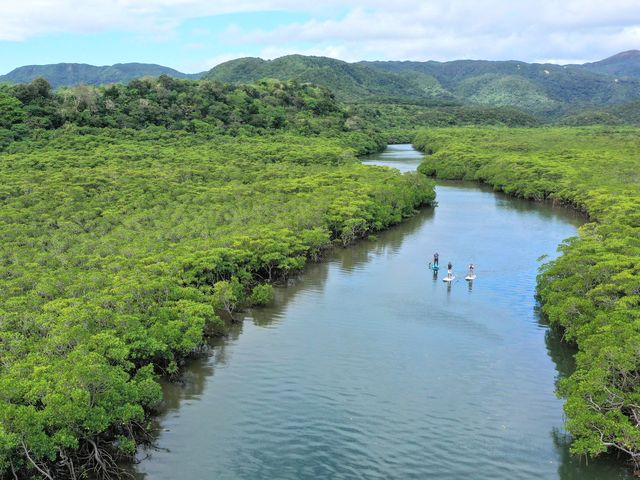 ���E���R��Y��SUP�N���[�Y_���\���c�A�[NGAF