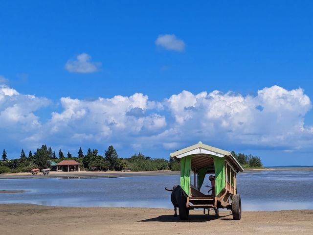 �������Ƃ��������Ԃ̗���_���\���c�A�[NGAF