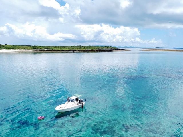 ��Ղ̃p�i����_���\���c�A�[NGAF