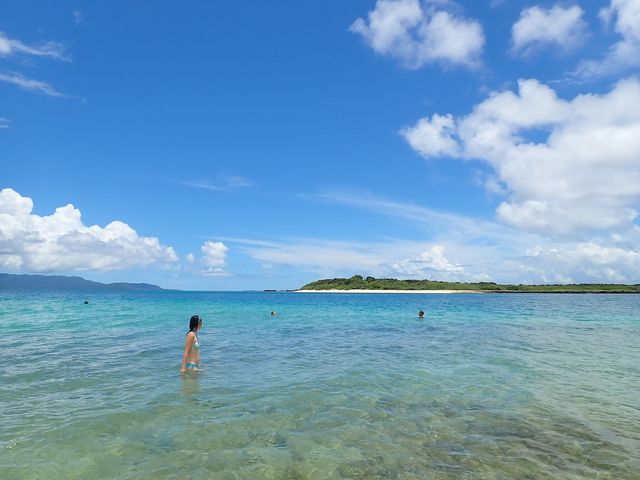 �p�i�����V���m�[�P��_���\���c�A�[NGAF