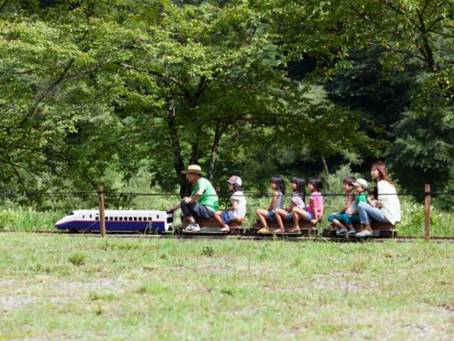 ���n�O���[���X�|�[�c�̐X