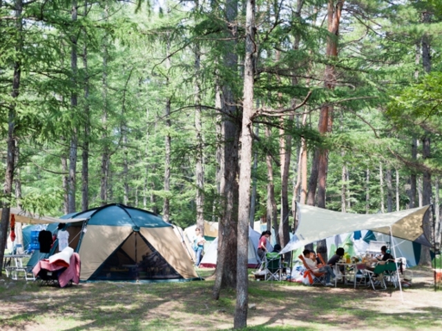 ���n�O���[���X�|�[�c�̐X