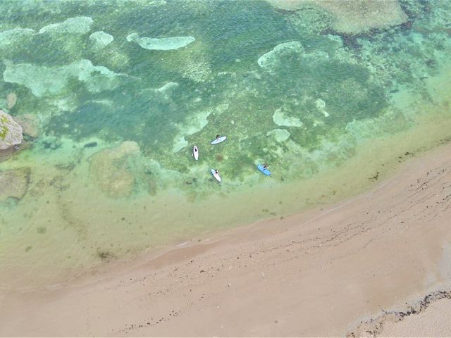 �T�b�v�̌�
�h���[���B�e_���ȁ`�C