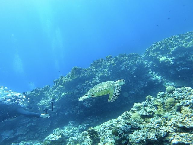 ����_�C�r���O
�J���ƈꏏ�ɉj��_���ȁ`�C