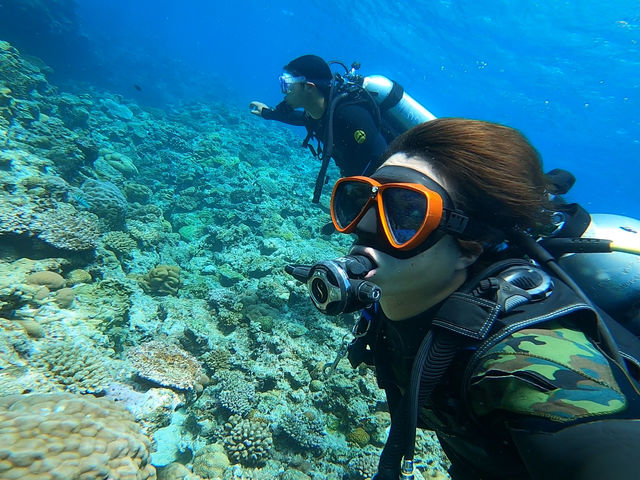 �t�@���_�C�r���O
�`�[�r�V����_���ȁ`�C