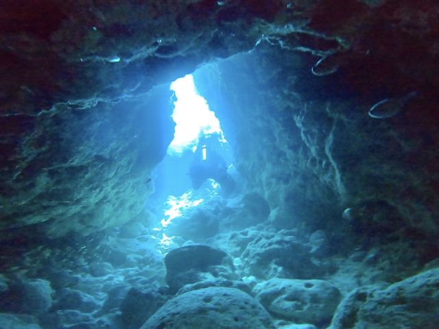 �c�Ǌԃ`�[�r�V����
�l1�l������铴�A_���ȁ`�C