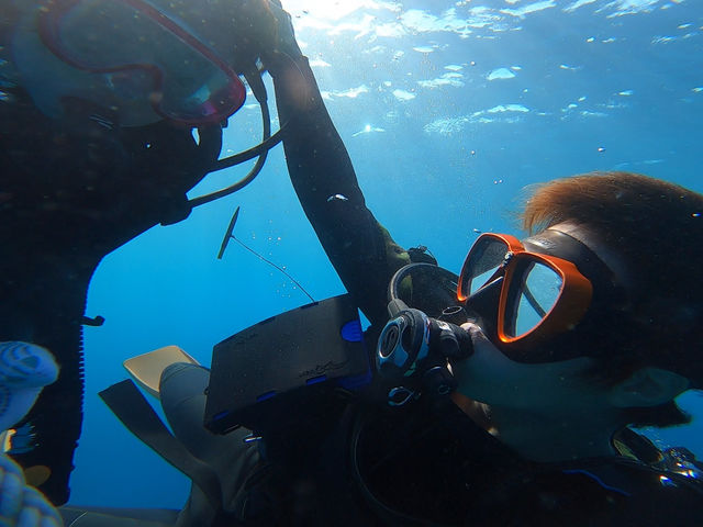 �̌��_�C�r���O
��������x���Ă����܂�_���ȁ`�C