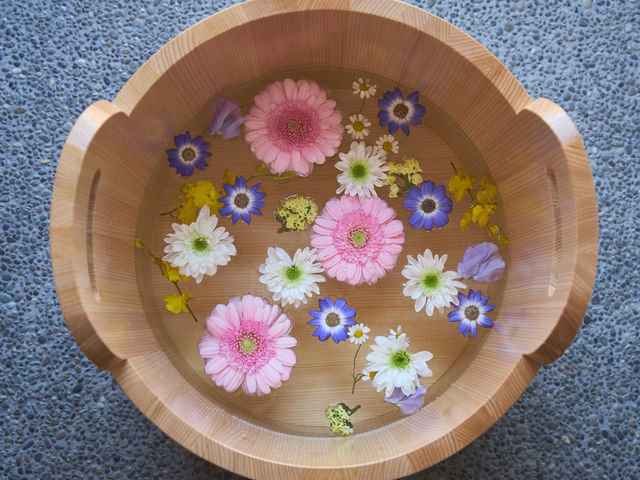 ���� �����J�t�F&�t�b�g�}�b�T�[�W