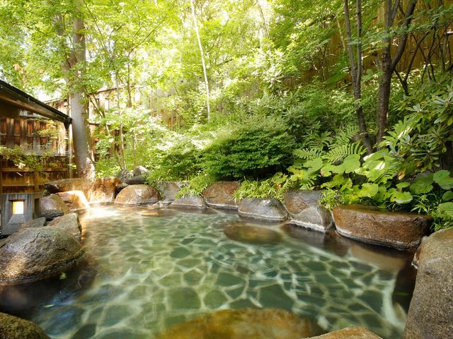 �`�I�V���C�@��`�@�L�߂̑嗁�ꂩ��q����I�V���C�A�w�I�V�����L�߂̑���ƂȂ�܂��B_���Ă��ȗ�