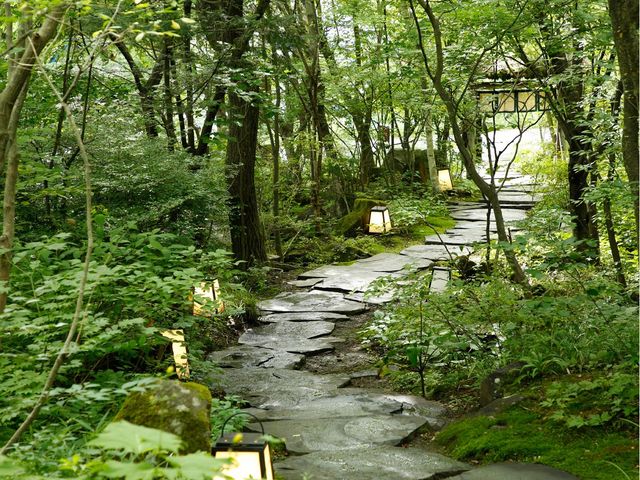 �`�A�v���[�`�@�����`�@�ΑN�₩�ȐA�́A�Βi�𔲂���ƌ��ւցB�΂̑N�₩�ȋG�߂͎U�����I�X�X���ł��B_���Ă��ȗ�