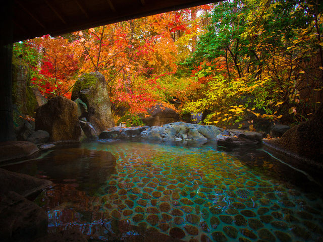 �`�ݐؘI�V���C�@�R���i���񂱂��j�̓��@�H�`�@�F�Ƃ�ǂ�ɐ��܂�؁X�͎��Ԃ�Y��Ė������Ă��܂������B_���Ă��ȗ�