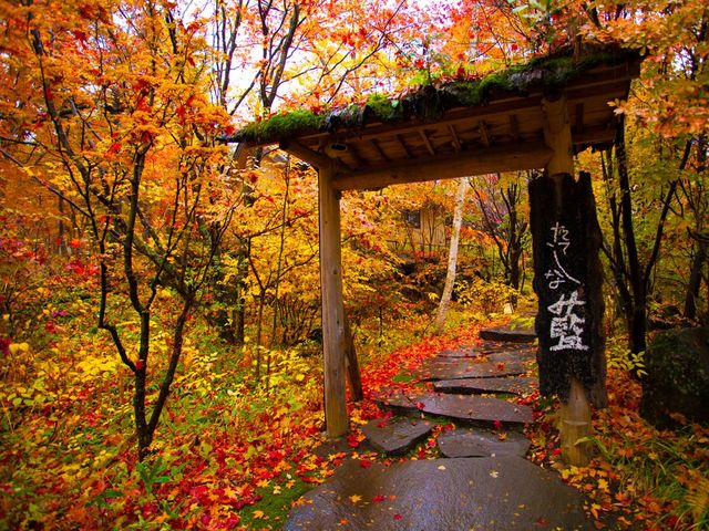 �`�O��@�H�`�@�F�Â��؁X�◎�t�܂ł����F�N�₩�ŁA�܂�ŕʐ��E�ւ̓�����̂悤�E�E�E�B_���Ă��ȗ�