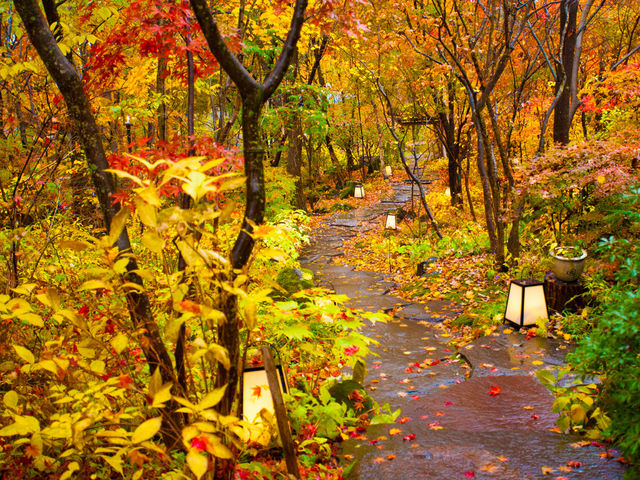 �`�A�v���[�`�@�H�`�@���ւɍs���ɂ��l�G�܁X�̎��R���ɖ�����āB_���Ă��ȗ�